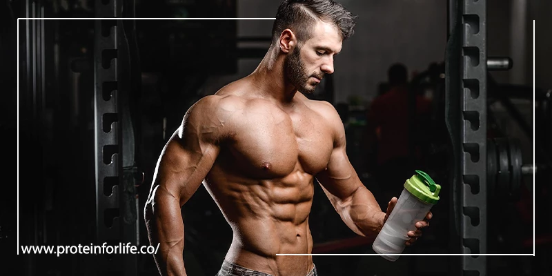 پروتئین افزایش حجم BCAA