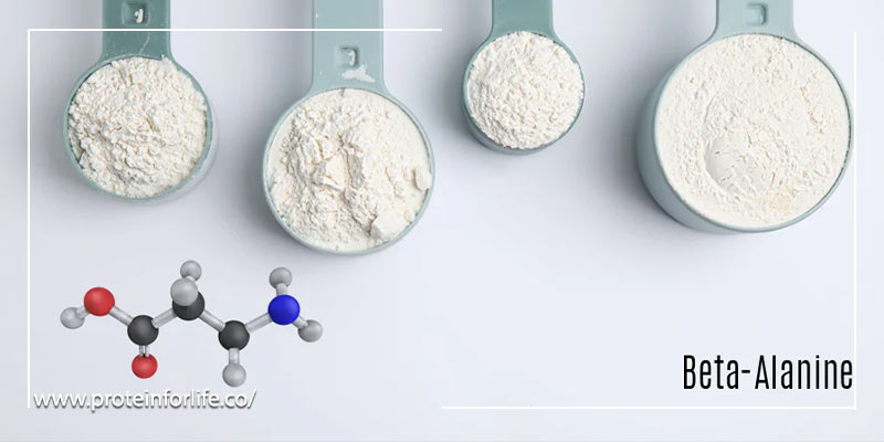 دلیل اهمیت بتا آلانین برای زنان و گیاه خوران
