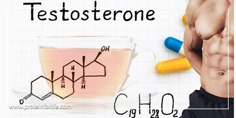 مکمل تستوسترون چیست؟