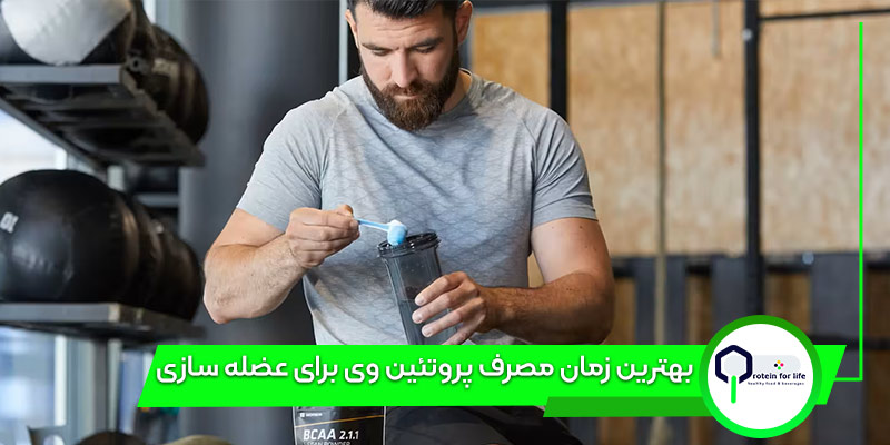 بهترین زمان مصرف پروتئین وی برای عضله سازی