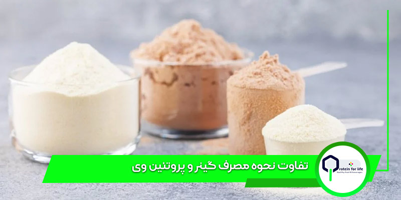 تفاوت نحوه مصرف گینر و پروتئین وی