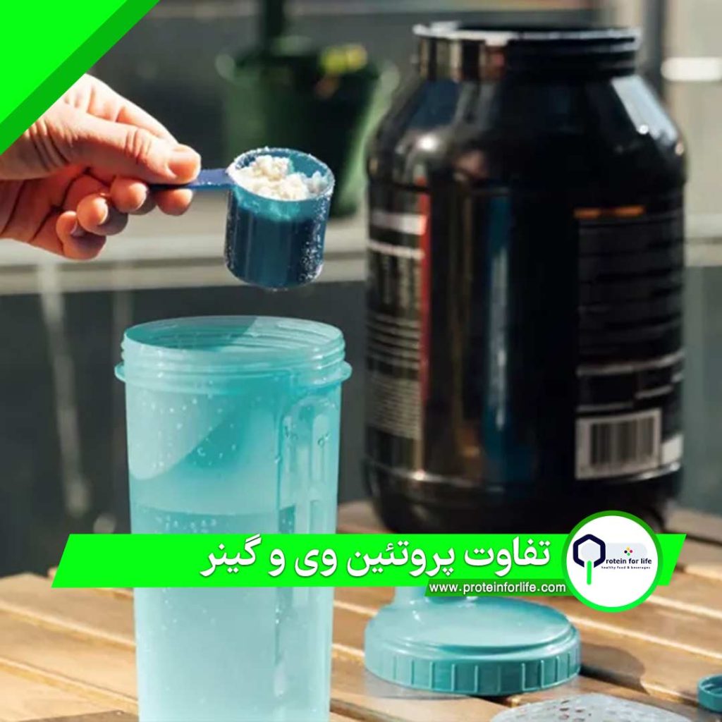 تفاوت پروتئین وی و گینر