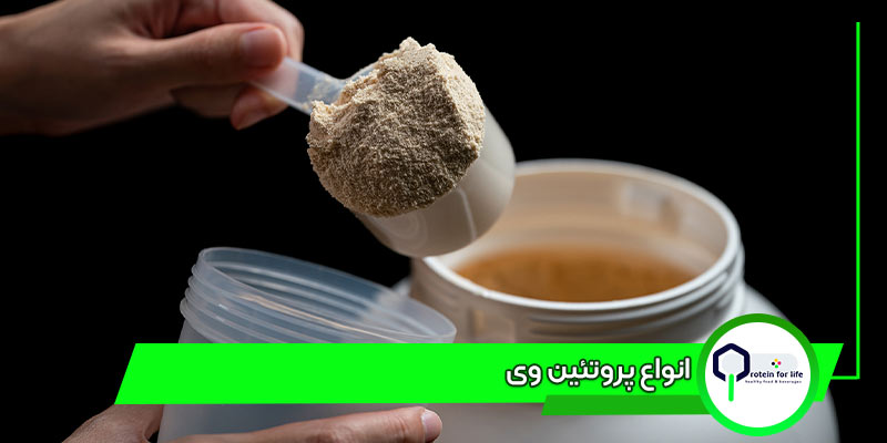 انواع پروتئین وی