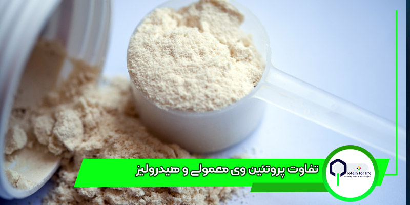 تفاوت پروتئین وی معمولی و هیدرولیز 