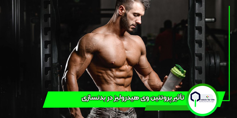 تأثیر پروتئین وی هیدرولیز در بدنسازی