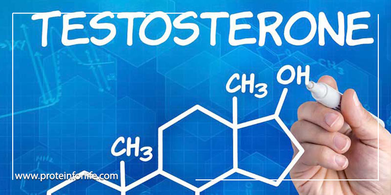 افزایش ترشح تستوسترون