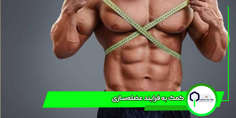 کمک به فرایند عضله‌سازی از فواید پروتئین وی ایزو