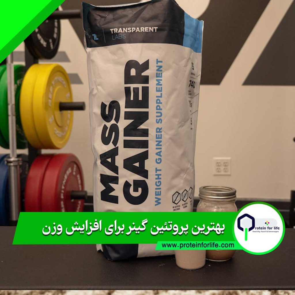 بهترین پروتئین گینر برای افزایش وزن