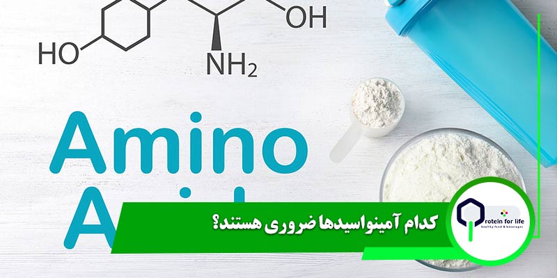 کدام آمینواسیدها ضروری هستند؟