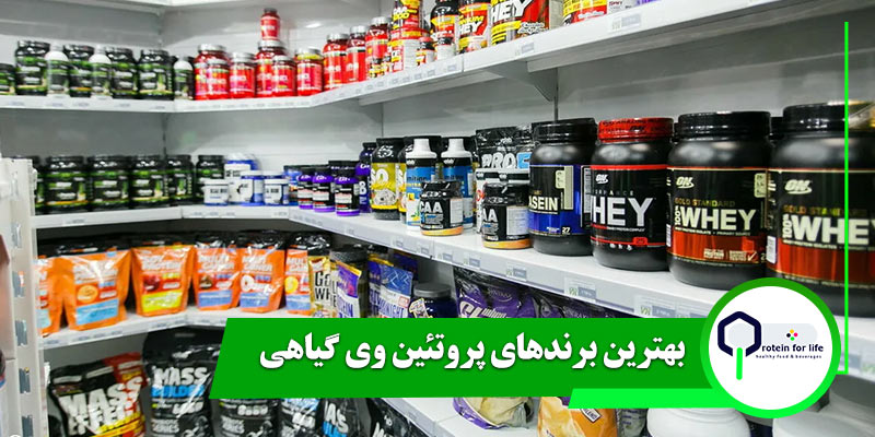 بهترین برندهای پروتئین وی گیاهی