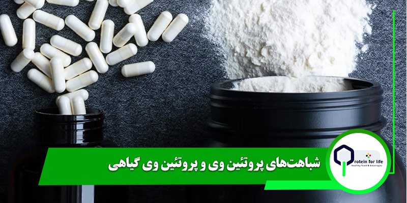 شباهت‌های پروتئین وی و پروتئین وی گیاهی