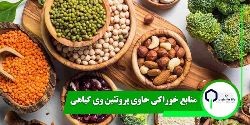 منابع خوراکی حاوی پروتئین وی گیاهی