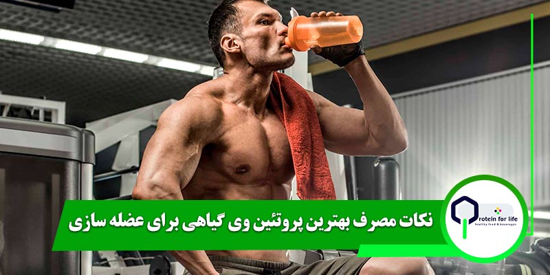 نکات مصرف بهترین پروتئین وی گیاهی برای عضله سازی