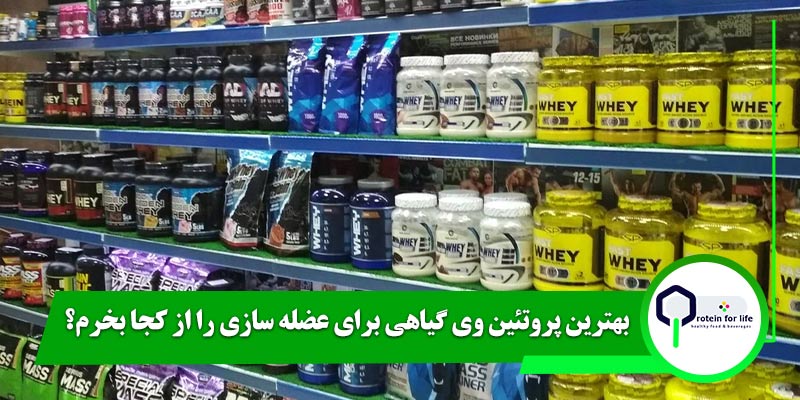 بهترین پروتئین وی گیاهی برای عضله سازی را از کجا بخرم؟