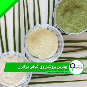 وارد کننده پروتئین وی گیاهی در ایران