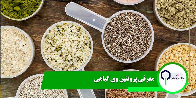 معرفی پروتئین وی گیاهی