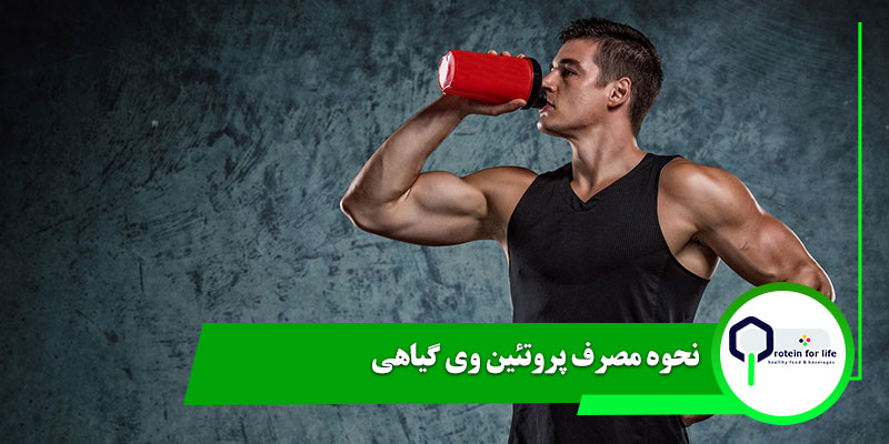 نحوه مصرف پروتئین وی گیاهی