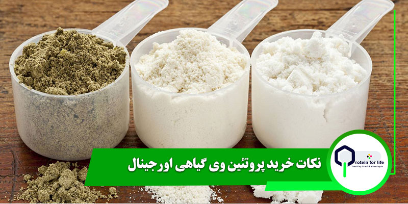 نکات خرید پروتئین وی گیاهی اورجینال