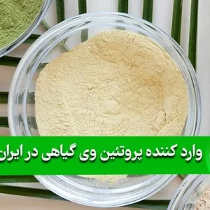 وارد کننده پروتئین وی گیاهی در ایران