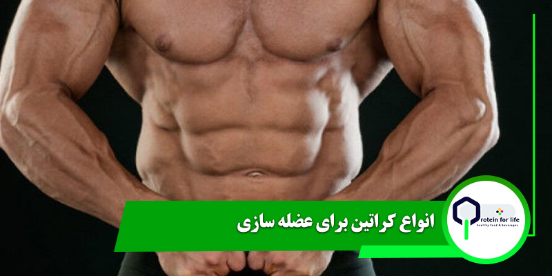 انواع کراتین برای عضله سازی