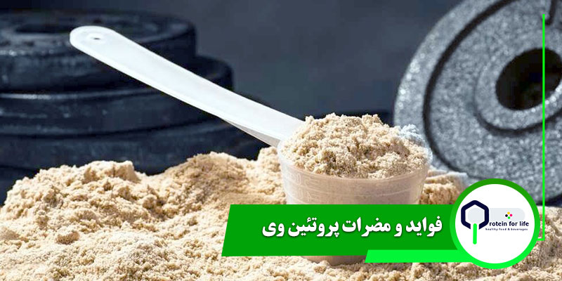 فواید و مضرات پروتئین وی