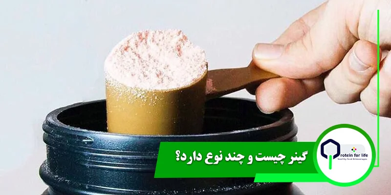 گینر چیست و چند نوع دارد؟