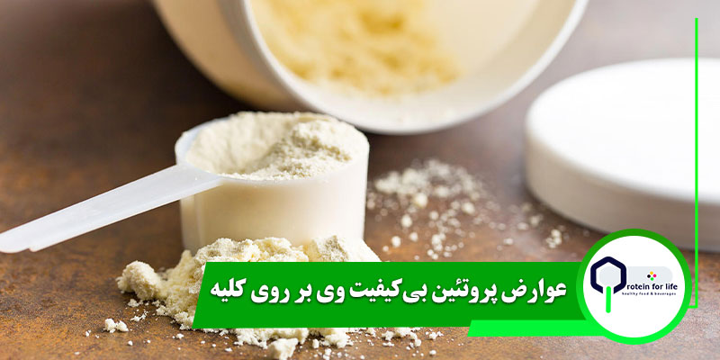 عوارض پروتئین بی‌کیفیت وی بر روی کلیه