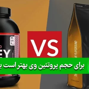 برای حجم پروتئین وی بهتر است یا گینر