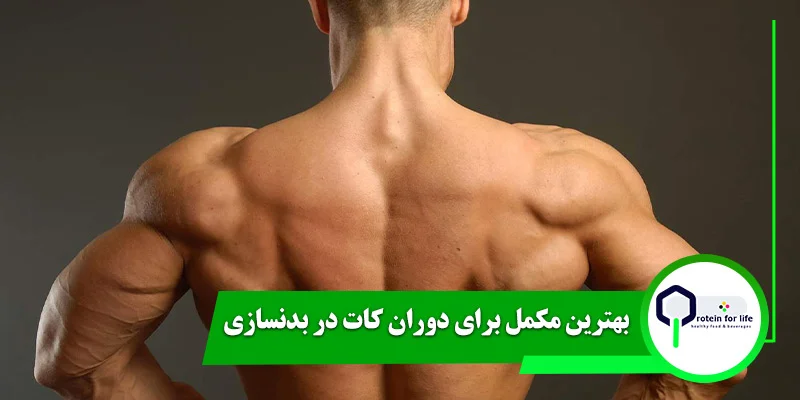 بهترین مکمل برای دوران کات در بدنسازی