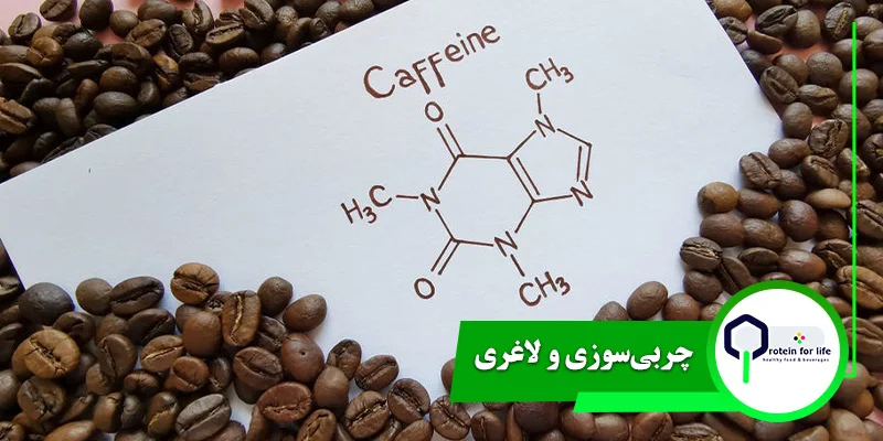 چربی‌سوزی و لاغری