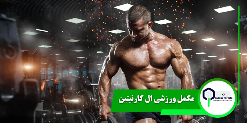 مکمل ورزشی ال کارنیتین