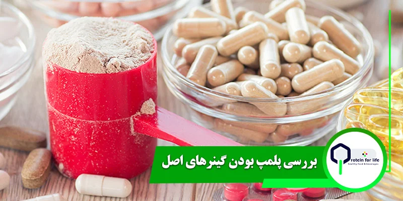 بررسی پلمپ بودن گینرهای اصل