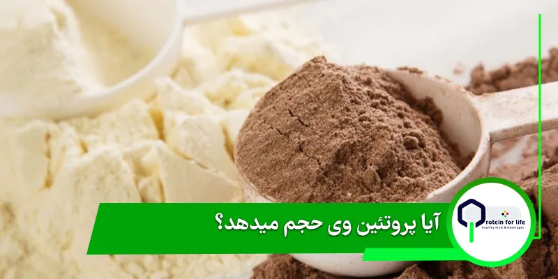 آیا پروتئین وی حجم میدهد؟