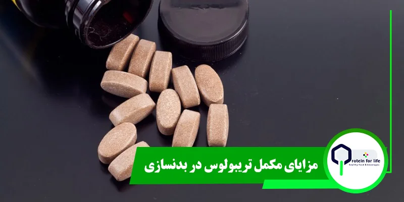 مزایای مکمل تریبولوس در بدنسازی