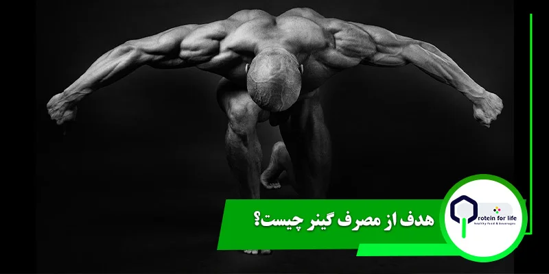 هدف از مصرف گینر چیست؟