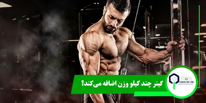 گینر چند کیلو وزن اضافه می‌کند؟