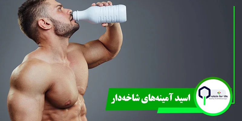 اسید آمینه‌‌های شاخه‌دار