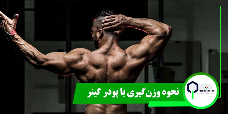 نحوه وزن‌گیری با پودر گینر
