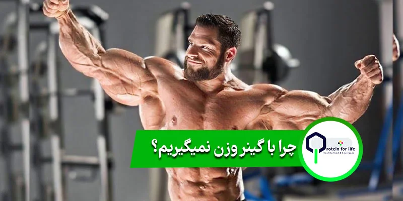 چرا با گینر وزن نمیگیریم