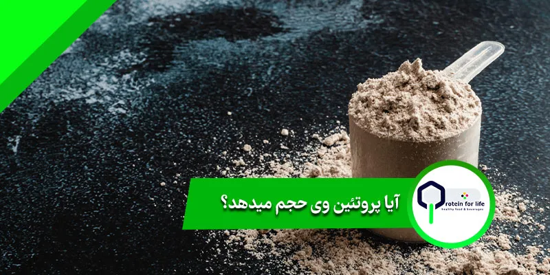 آیا پروتئین وی حجم می‌دهد؟