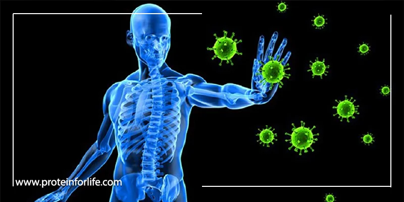 سیستم ایمنی چه عملکردی در بدن دارد؟