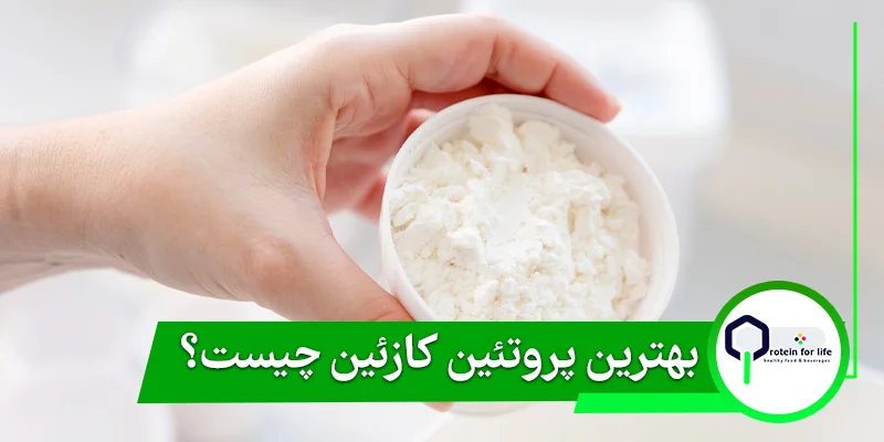 بهترین پروتئین کازئین چیست؟