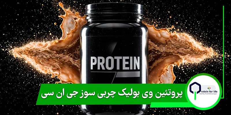 پروتئین وی بولیک چربی سوز جی ان سی