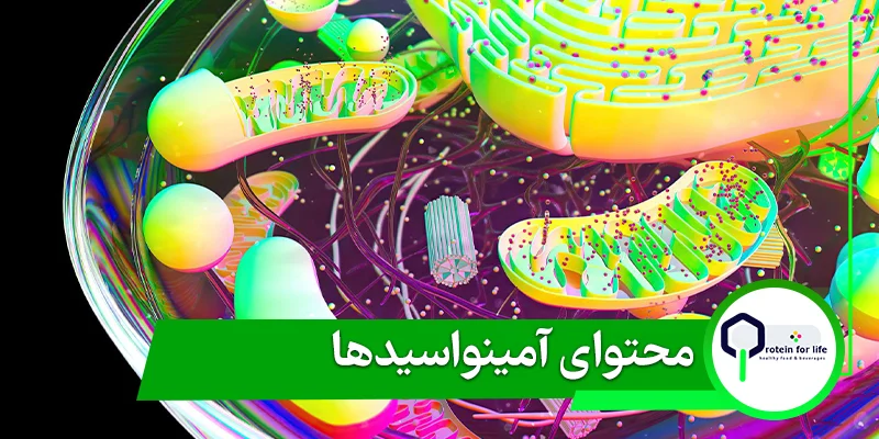 مقایسه پودر پروتئین وی و کازئین