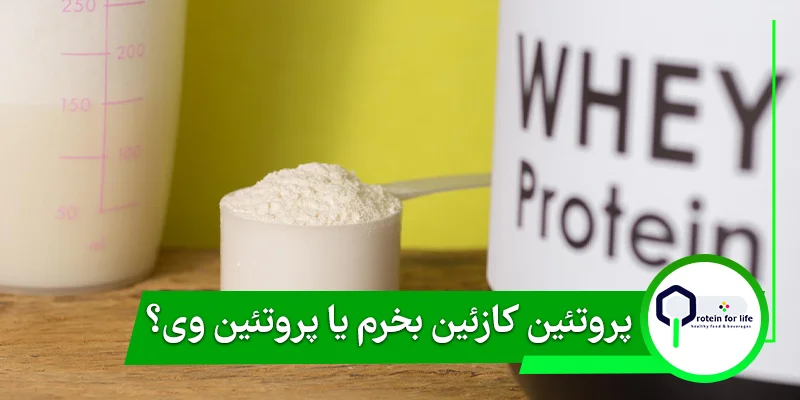 پروتئین کازئین بخرم یا پروتئین وی؟ کدام بهتر است؟
