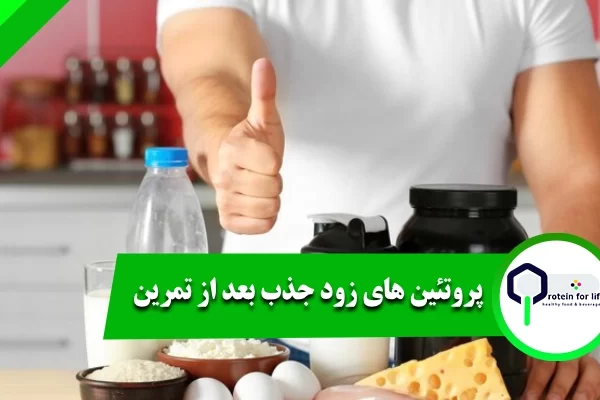 پروتئین های زود جذب بعد از تمرین