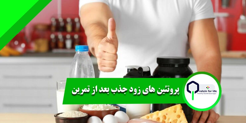 پروتئین های زود جذب بعد از تمرین