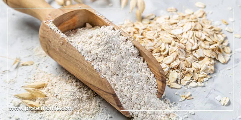 پروتئین اوت  (Oat Protein) چیست؟