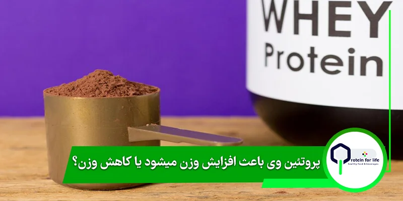 پروتئین وی باعث افزایش وزن میشود یا کاهش وزن؟