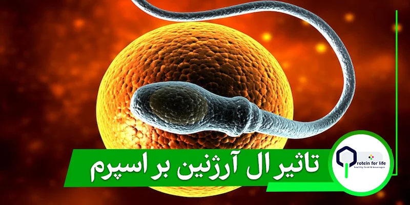 تاثیر ال آرژنین بر تقویت قوای جنسی مردان